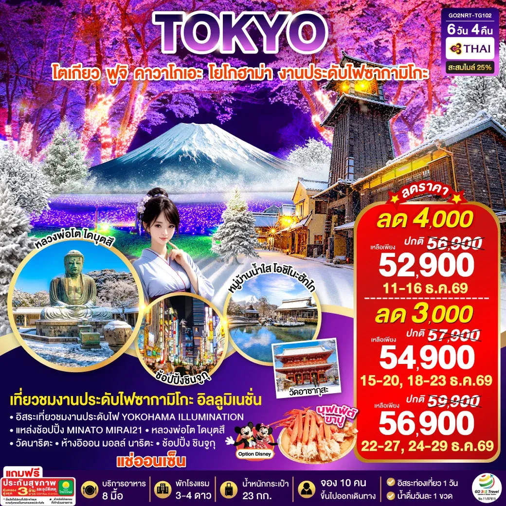 ทัวร์ญี่ปุ่น TOKYO FUJI YOKOHAMA ILLUMINATION WINTER 6วัน 4คืน (TG)